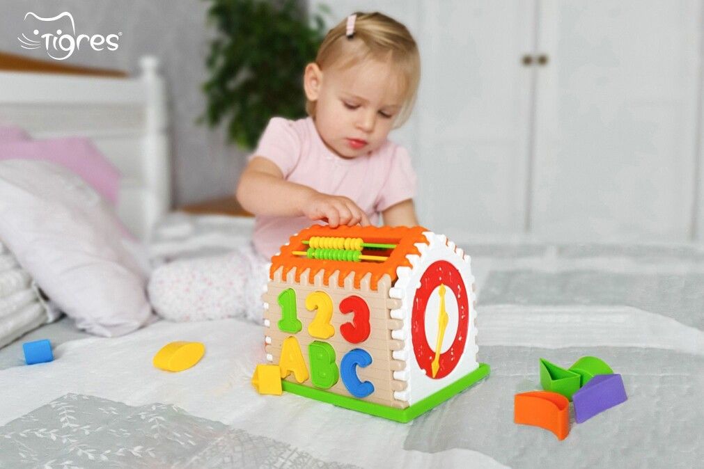 Photo - Sorter toys - gadgets for the little ones