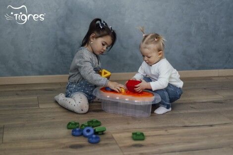 Photo - Shape sorter is the most useful educational toy for one-year-old kids