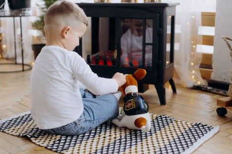 Photo - Ukrainian toys: investing in the future of childre