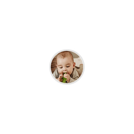 Canpol babies Игрушка-прорезыватель Лев (деревяно-силиконовая) - 5